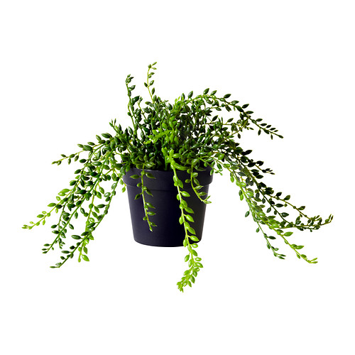 FEJKA Tekokasvi IKEA Luonnollisen näköinen tekokasvi, joka näyttää aina yhtä hyvältä. 