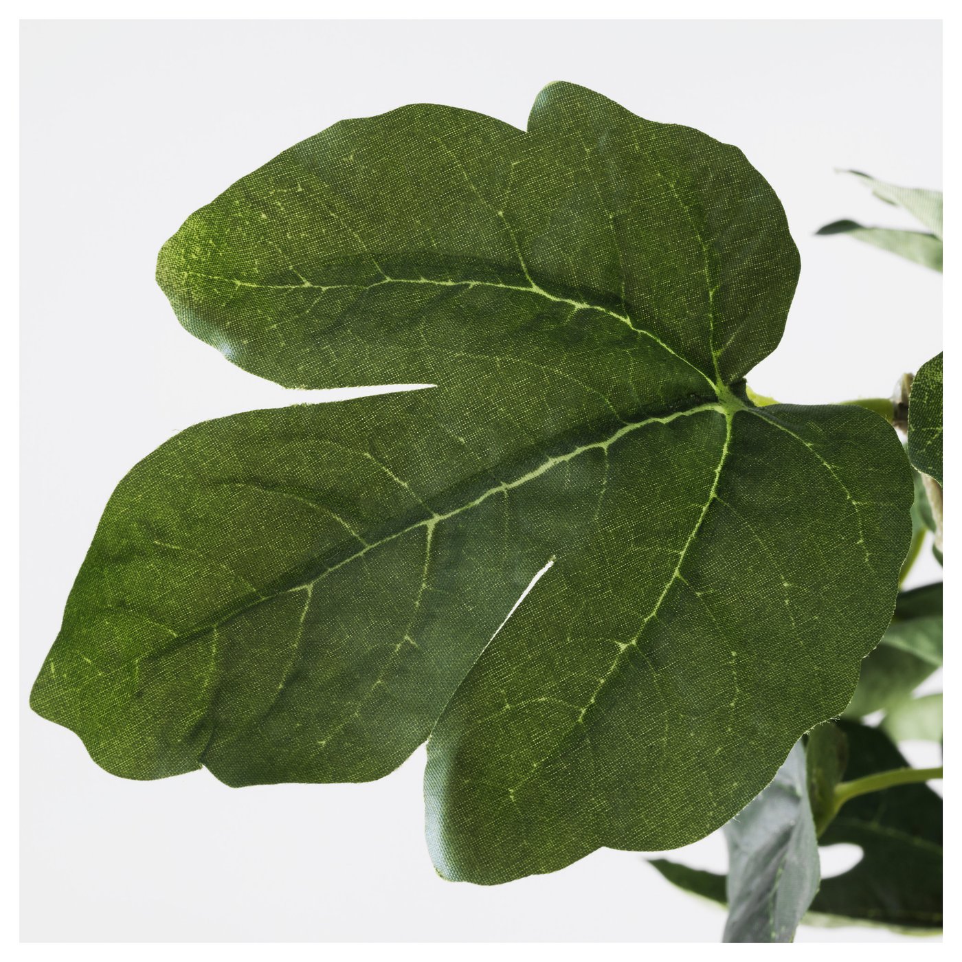 FEJKA Artificial potted plant Fig 12 cm IKEA