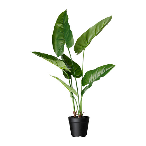 FEJKA artifi pttdplant14Blushingphilodendron