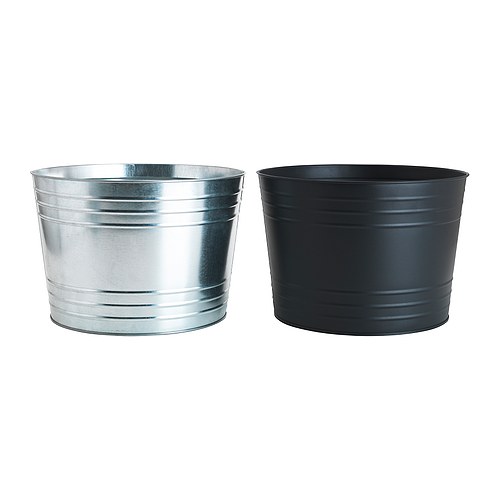 list outdoor plants