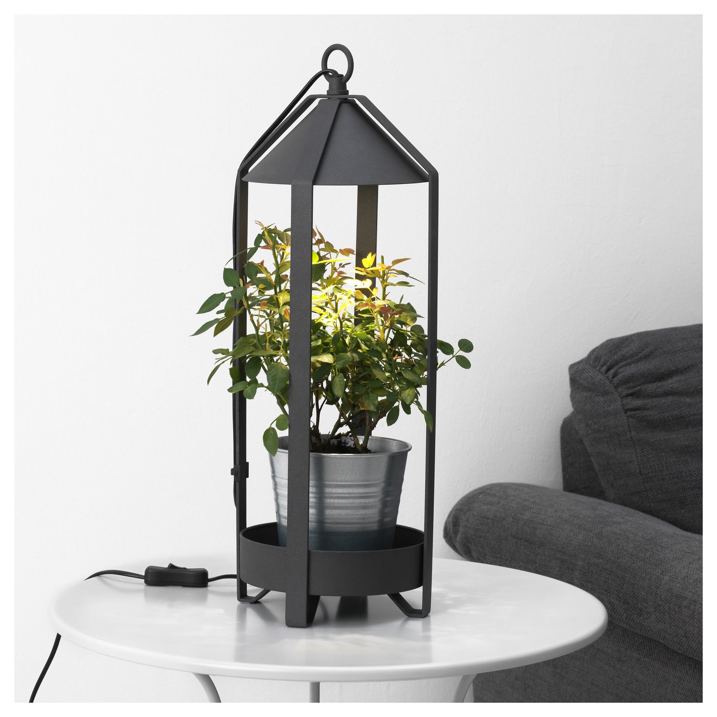 IKEA KRYDDA plant holder w LED cultivation bulb