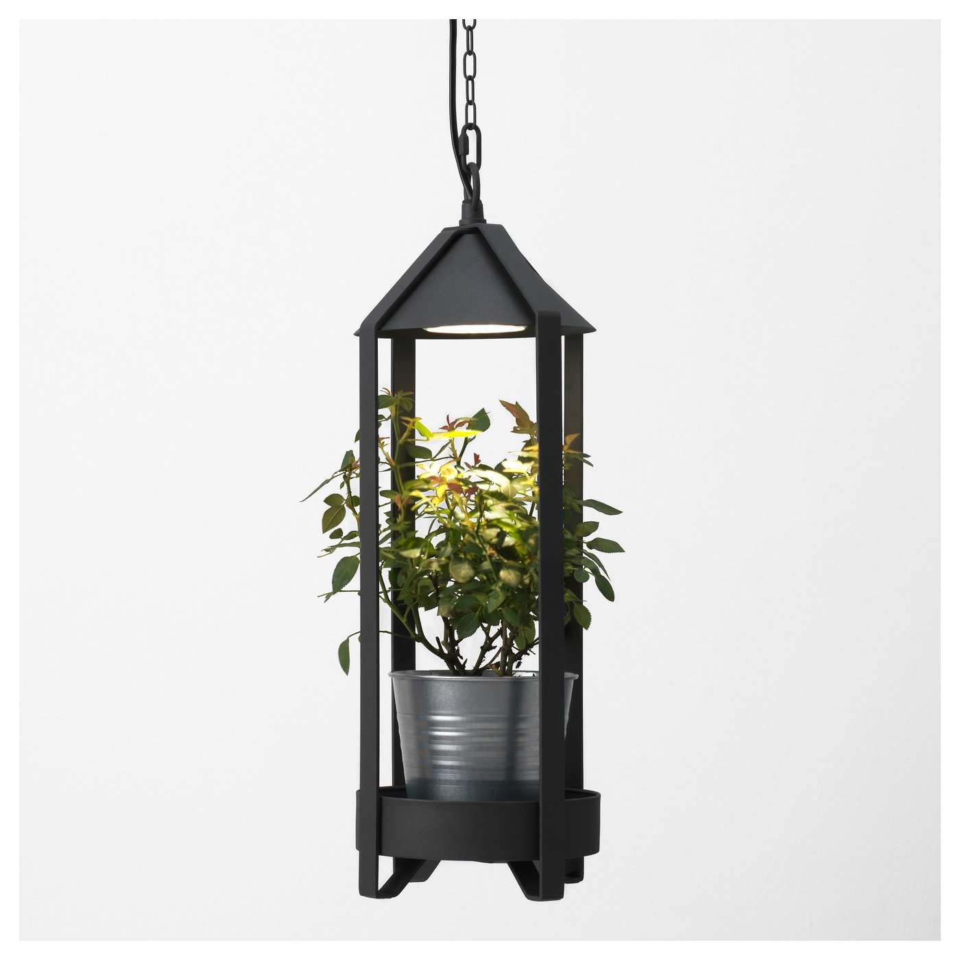 IKEA KRYDDA plant holder w LED cultivation bulb