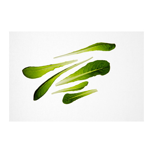 IKEA VÄXER seeds These seeds can be used for both hydroponic and traditional cultivation.