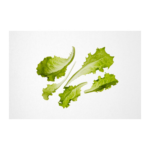 IKEA VÄXER seeds These seeds can be used for both hydroponic and traditional cultivation.