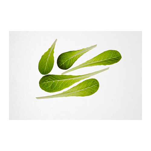 IKEA VÄXER seeds These seeds can be used for both hydroponic and traditional cultivation.