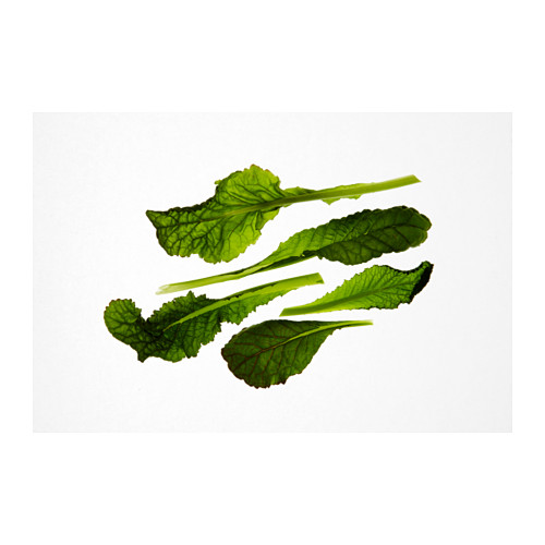 IKEA VÄXER seeds These seeds can be used for both hydroponic and traditional cultivation.