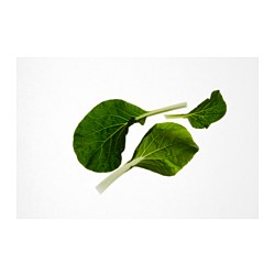 IKEA VÄXER seeds These seeds can be used for both hydroponic and traditional cultivation.