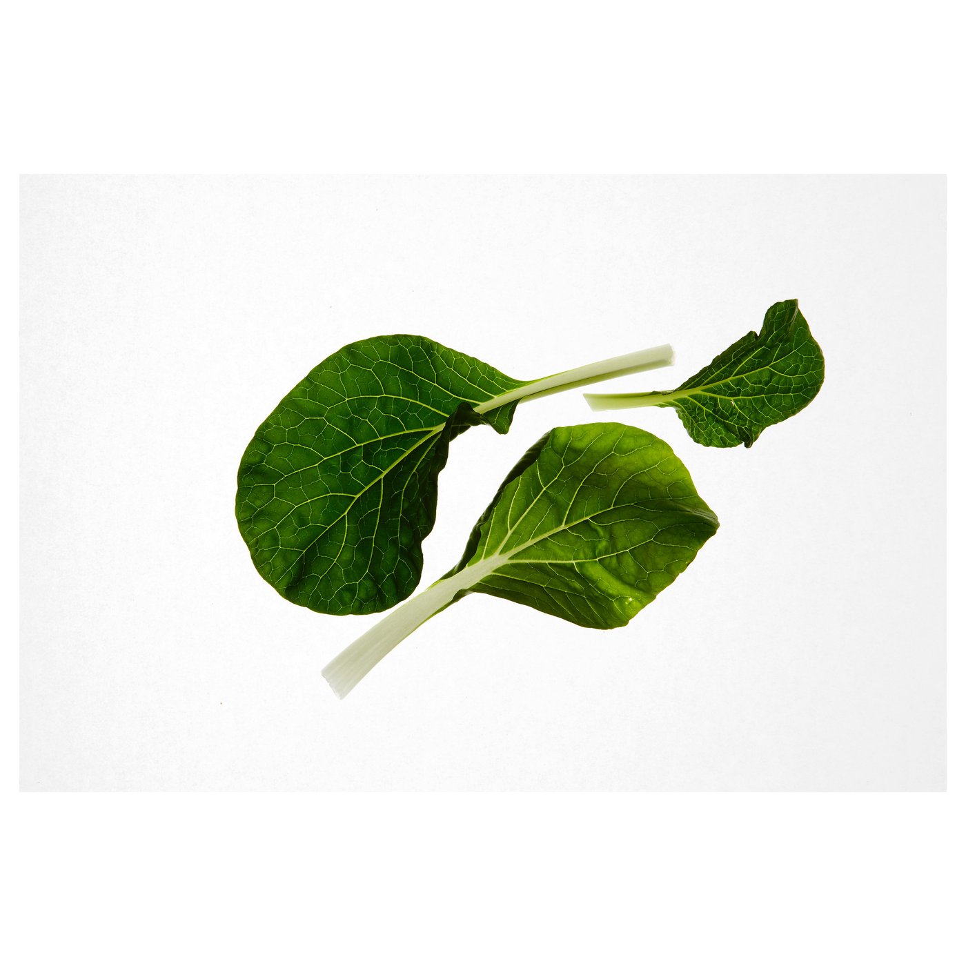 IKEA VÄXER seeds These seeds can be used for both hydroponic and traditional cultivation.