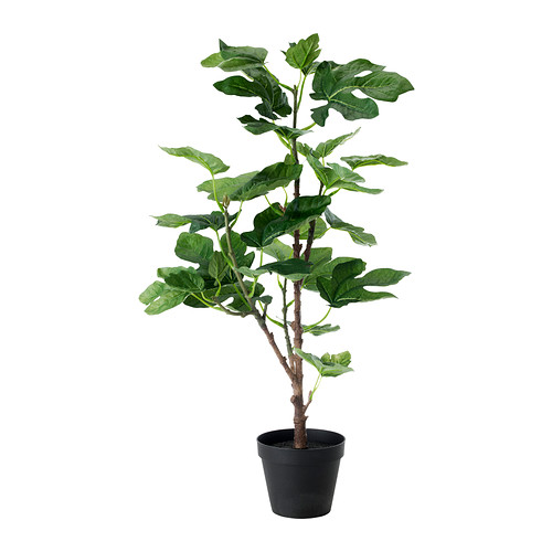 FEJKA Pianta artificiale IKEA Ha la stessa freschezza naturale di una vera pianta e conserva la sua bellezza anno dopo anno. 