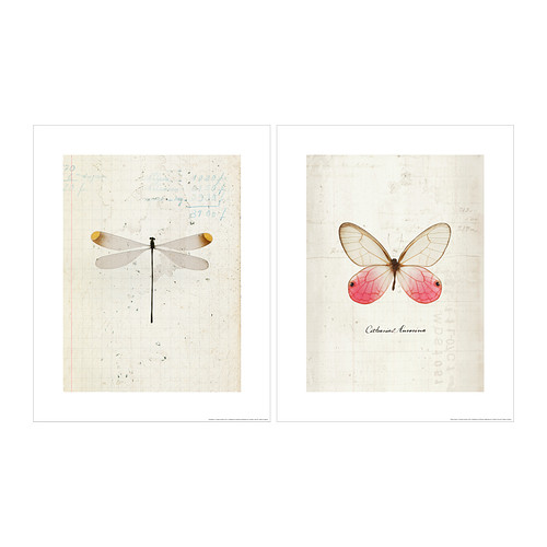 TVILLING Set di 2 poster IKEA Soggetto di Emiko Franzen.  Tema unitario: puoi creare un collage. 
