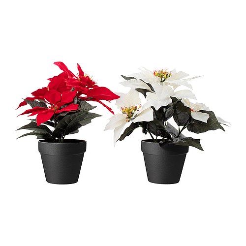 FEJKA Kunstig potteplante IKEA Kunstig plante som ser ekte ut og holder seg frisk år etter år. 