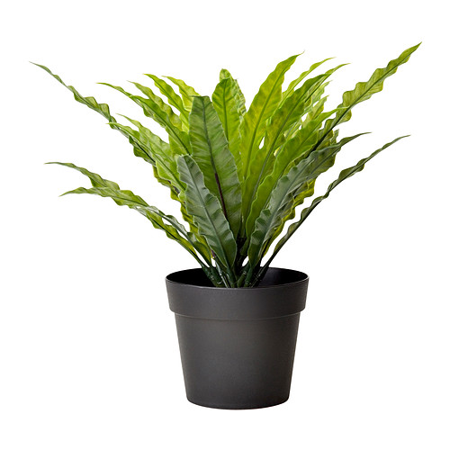 FEJKA Umelý kvet v kvetináči IKEA Živo vyzerajúci umelý kvet vydrží „čerstvý“dlhé roky. 