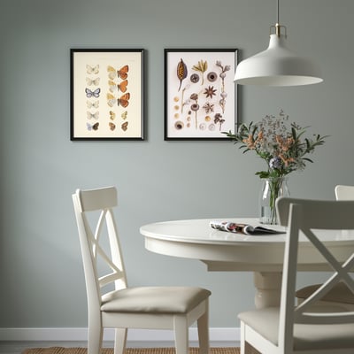 BILD صورة, جمع الفراشات والبذور, ‎40x50 سم‏