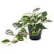 Artificial hanging plants