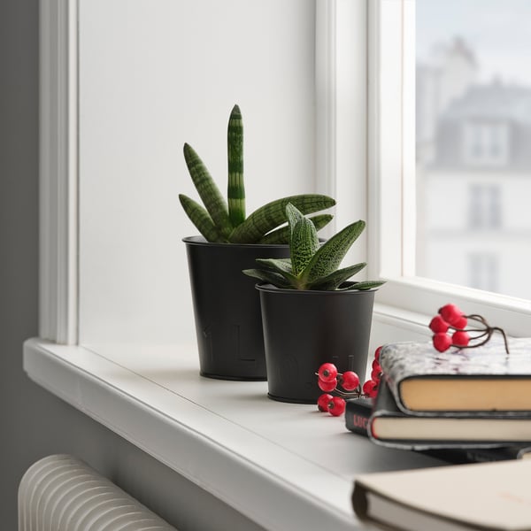 ÅKERBÄR plant pot, in/outdoor anthracite, 9 cm IKEA