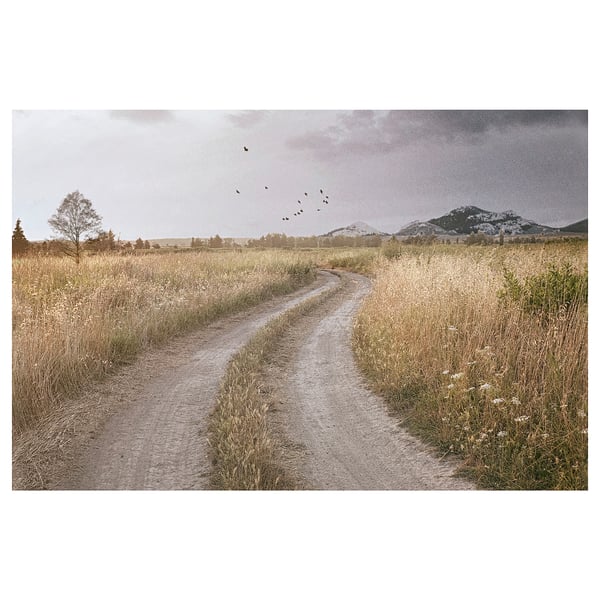 A serene country landscape with a dirt path through golden fields, a lone tree, and distant mountains beneath a cloudy sky with flying birds.