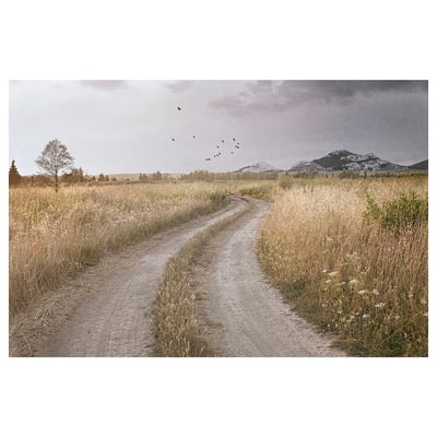 A serene country landscape with a dirt path through golden fields, a lone tree, and distant mountains beneath a cloudy sky with flying birds.
