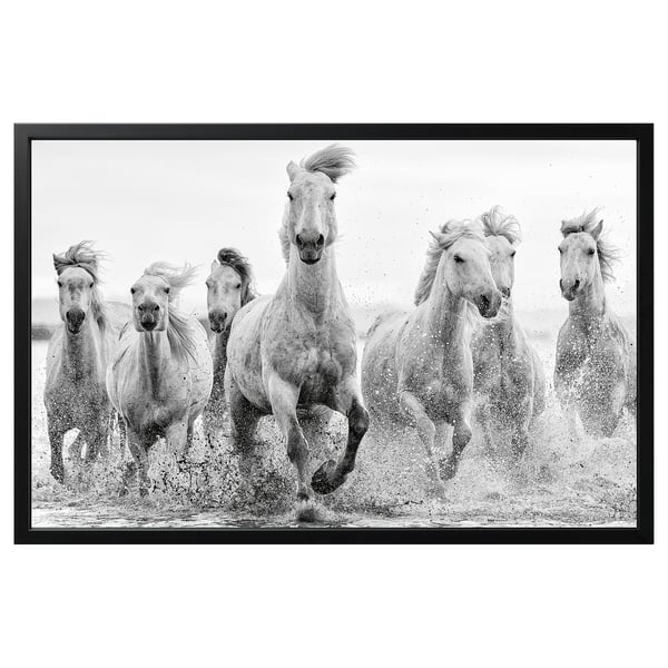 BJÖRKSTA Picture with frame, horses at the water's edge/black, 118x78 cm