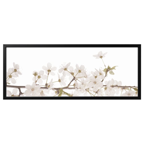 BJÖRKSTA Picture with frame, white flowers/black, 140x56 cm