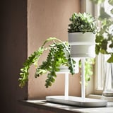CHILISTRÅN Plant stand, white, 24 cm