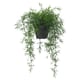 FEJKA artificial potted plant, in/outdoor Asparagus/hanging, 12 cm IKEA