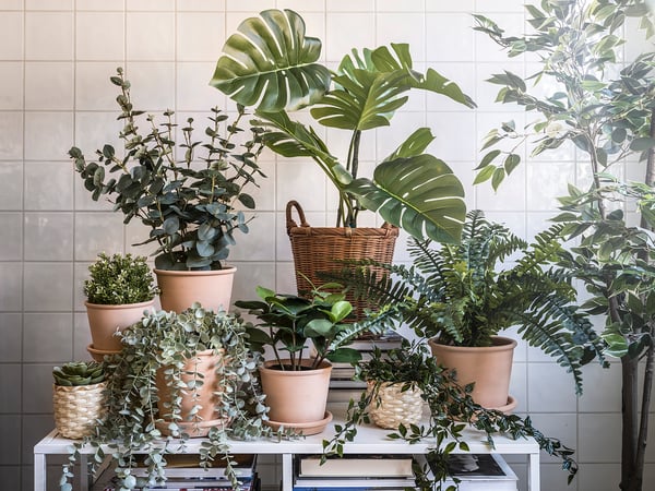 Variety of potted artificial plants on stand against tiled wall. Different shapes and sizes, mainly green. Recycled materials used.
