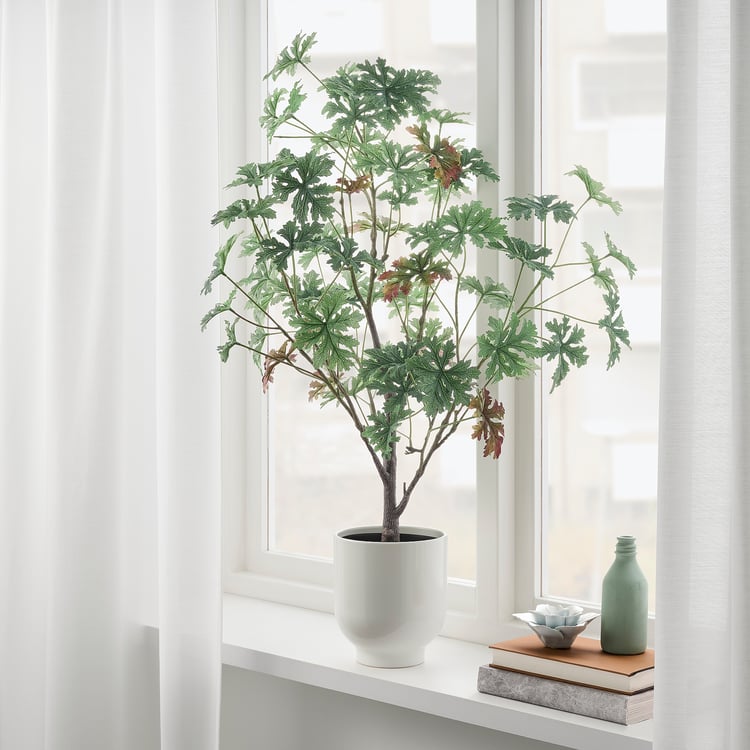 FEJKA artificial potted plant, in/outdoor Geranium, 15 cm IKEA