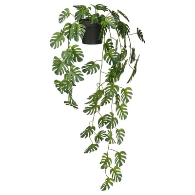 FEJKA Artificial potted plant, in/outdoor hanging/Monstera, 9 cm
