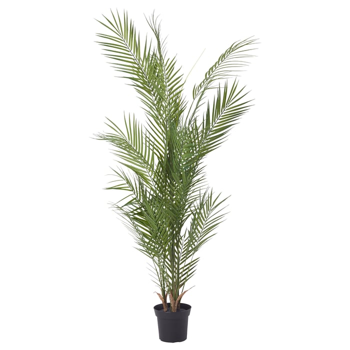 FEJKA artificial potted plant, in/outdoor/Kentia palm, 15 cm IKEA