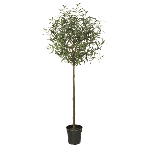 FEJKA Artificial potted plant, in/outdoor/Olive tree green, 19 cm