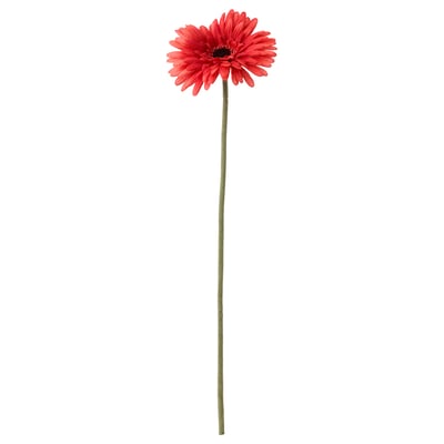 SMYCKA Artificial flower, Gerbera/red, 50 cm