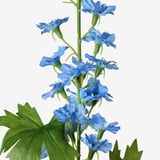 SMYCKA Artificial flower, in/outdoor/Larkspur blue, 60 cm