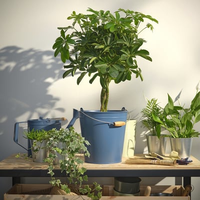 Blaue ÅKERBÄR Töpfe mit Holzgriffen, ideal für Zimmerpflanzen.