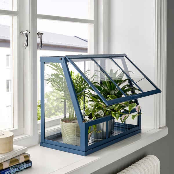 Das ÅKERBÄR Mini-Gewächshaus, blau, steht auf einer Fensterbank und beherbergt kleine Topfpflanzen. Seine kompakte Größe passt gut zu anderen kleinen Dekorationsgegenständen.