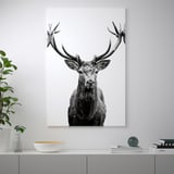 Schwarz-weiße Wandkunst eines Hirsches mit großem Geweih hängt an einer weißen Wand. Darunter befindet sich ein niedriges Regal, in dem eine Pflanze, eine Schale und Bücher aufbewahrt werden.
