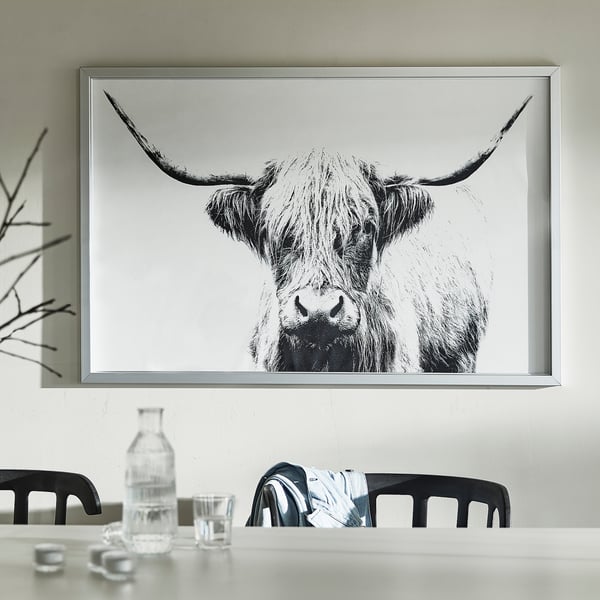 Ein schwarz-weiß gerahmter Stier mit langen Hörnern hängt über einem Esstisch mit Stühlen, zwei Wasserflaschen und Gläsern.