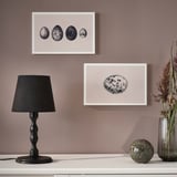 ausgestellte Wandkunst; Lampe und Vase auf Regal.