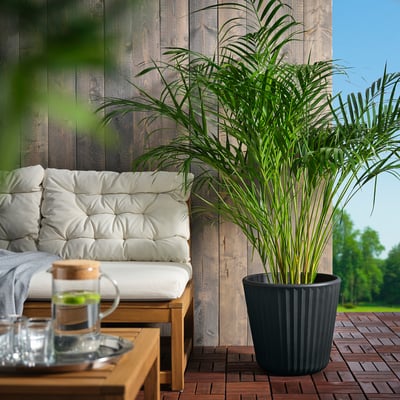 Dunkles Plastik-Pflanzgefäß mit hoher Pflanze an Deck, daneben gepolsterte Sitzgelegenheiten mit Couchtisch, Tassen und Decke, rustikale Holzwand.
