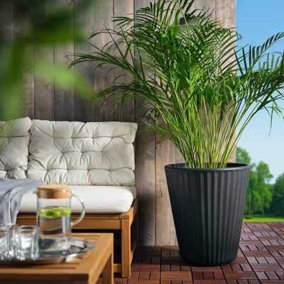 Terrasse mit großer Pflanze und Sitzgelegenheiten.