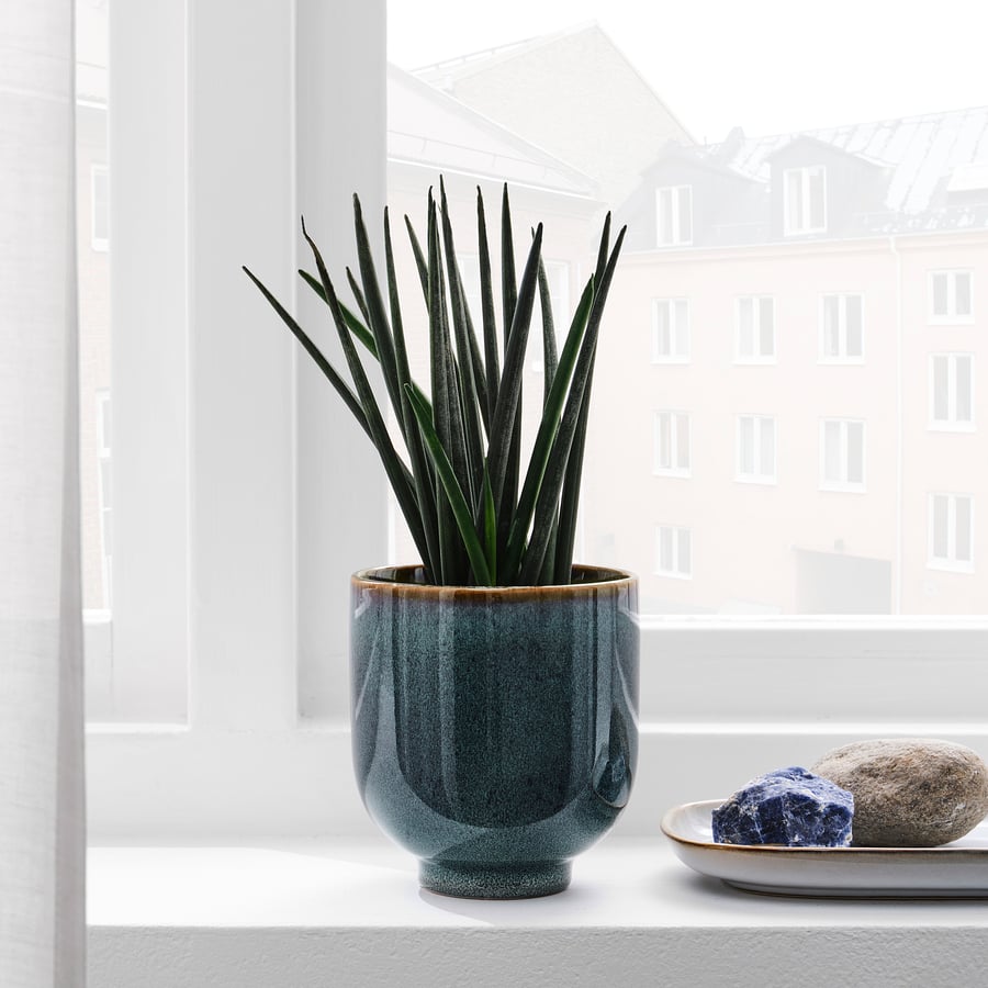 DRÖMSK Übertopf, drinnen/draußen dunkelblau, 9 cm - IKEA Österreich