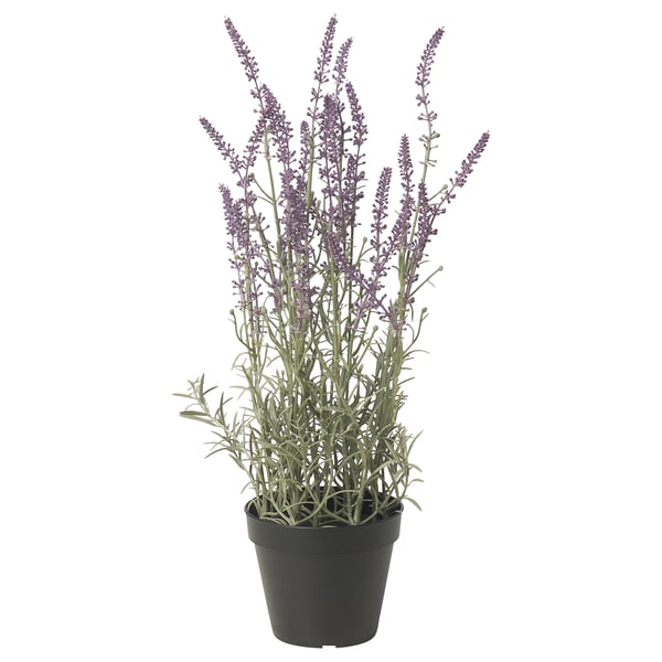 FEJKA Topfpflanze, künstlich, drinnen/draußen/Lavendel lila, 12 cm