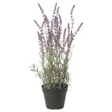 FEJKA Topfpflanze, künstlich, drinnen/draußen/Lavendel lila, 12 cm