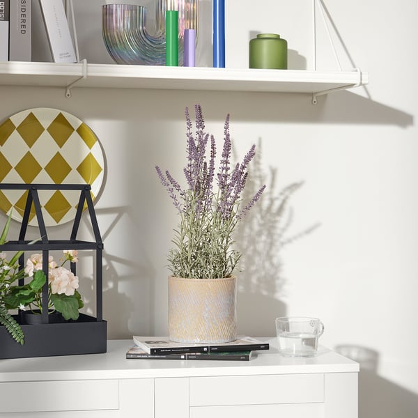 FEJKA Topfpflanze, künstlich, drinnen/draußen/Lavendel lila, 12 cm