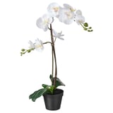 FEJKA weiße Orchideenpflanze, künstlich, in schwarz getopft.