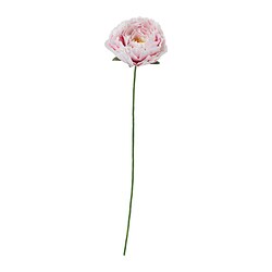 GULDSPETT Kunstblume, Papier/Pfingstrose weiß/hellrosa, 50 cm