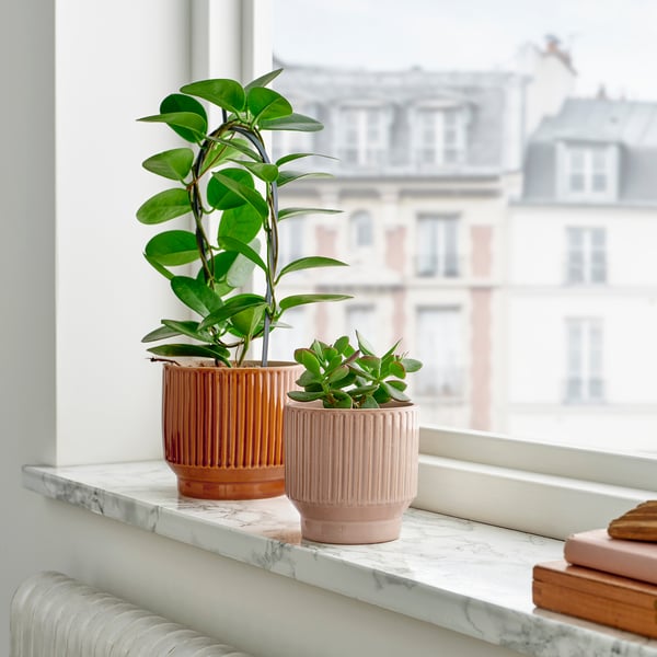 Zwei Töpfe mit grünen Pflanzen auf der Fensterbank: einer orange, einer pfirsichfarben. Bücherstapel; Blick auf die Stadt.