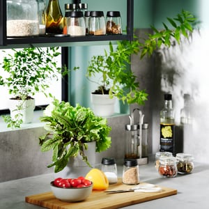 IKEA 365+ IHÄRDIG Gewürzglas, Glas/schwarz, 15 cl - IKEA Österreich