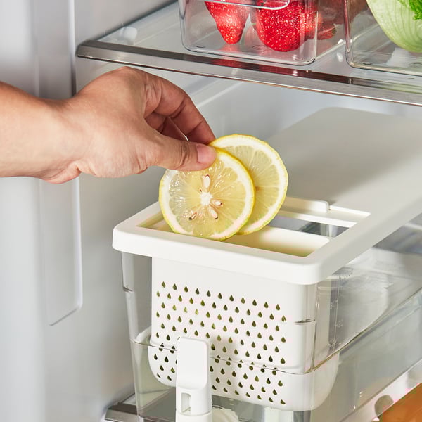 Legen Sie Zitronenscheiben von Hand in einen Kühlschrankbehälter mit eingebautem Wasserhahn, der für die Ausgabe von gekühlten Getränken ausgelegt ist.