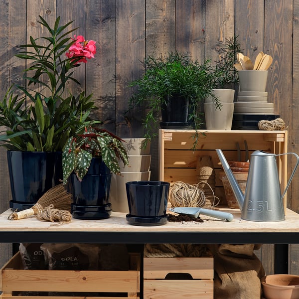 Holzregal mit blauen Pflanztöpfen, grünen Pflanzen, rosa Blumen, Gießkanne, Tellern und Werkzeugen.