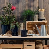 Holzregal mit blauen Pflanztöpfen, grünen Pflanzen, rosa Blumen, Gießkanne, Tellern und Werkzeugen.